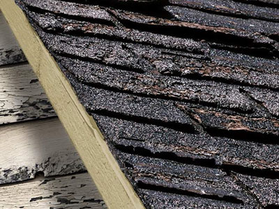 Dukes Exteriors Images