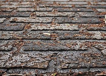 Dukes Exteriors Images